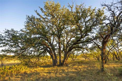 8400 County Road 201 Brownwood TX 76801