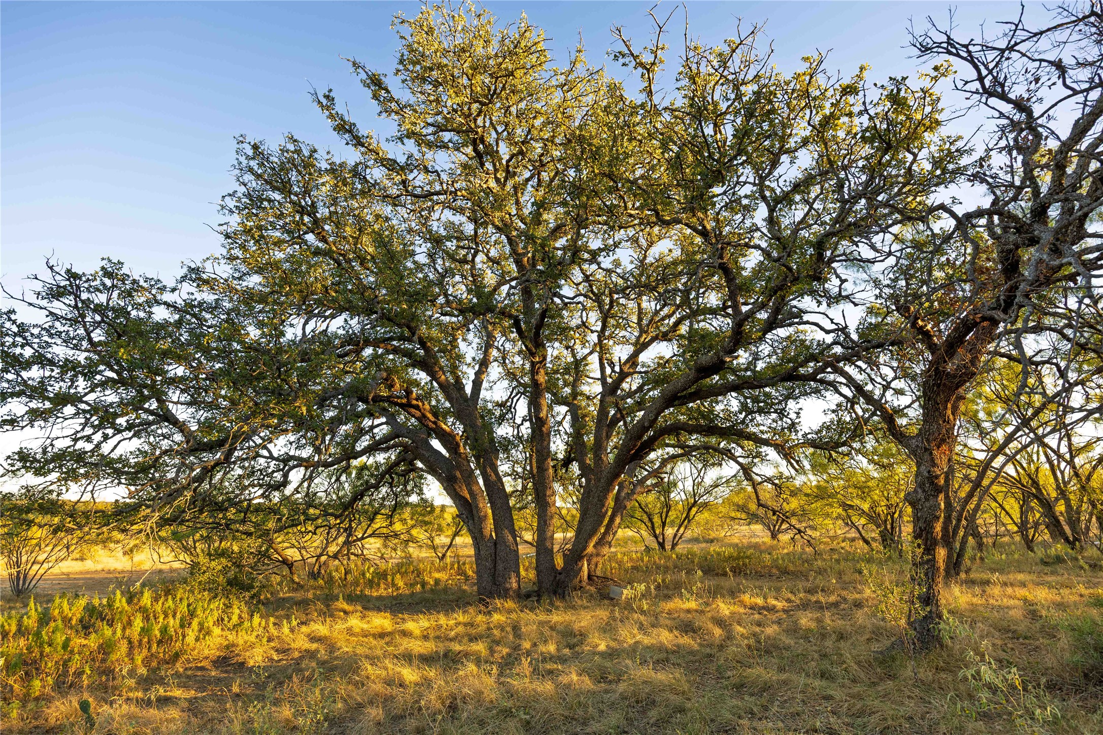 8400 County Road 201 Brownwood TX 76801
