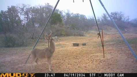 8400 County Road 201 Brownwood TX 76801