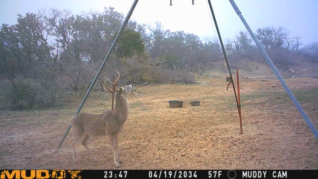 8400 County Road 201 Brownwood TX 76801
