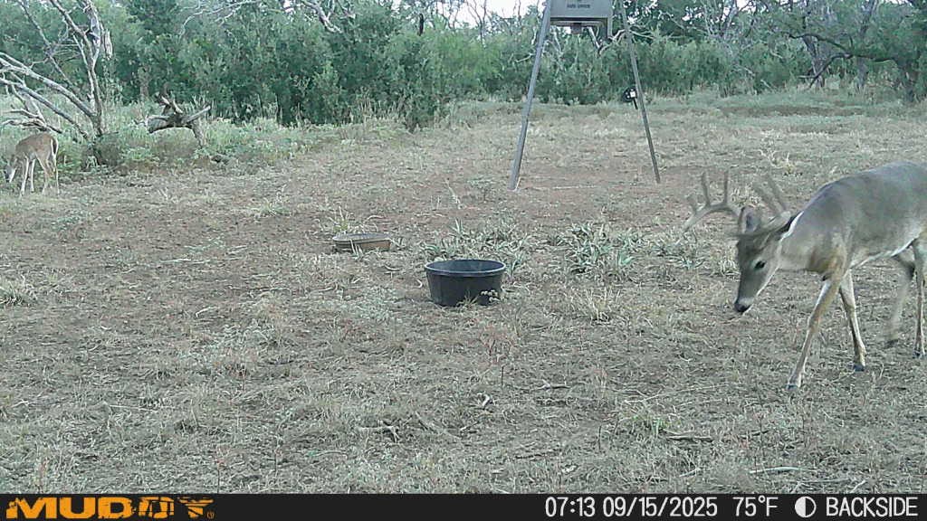 8400 County Road 201 Brownwood TX 76801