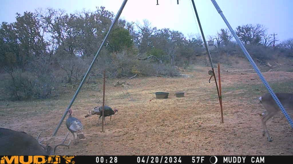 8400 County Road 201 Brownwood TX 76801