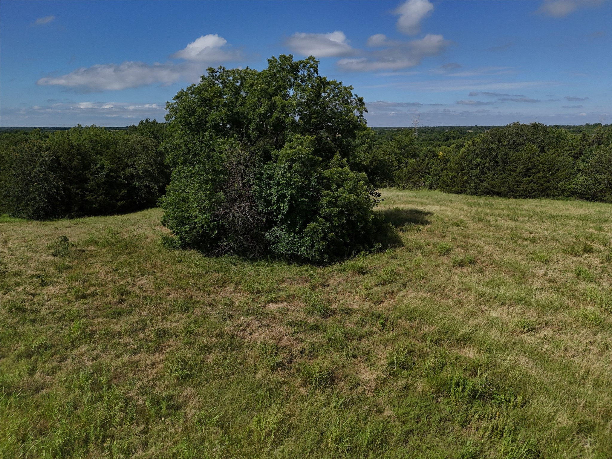 1700 Cr 2770 Honey Grove TX 75446