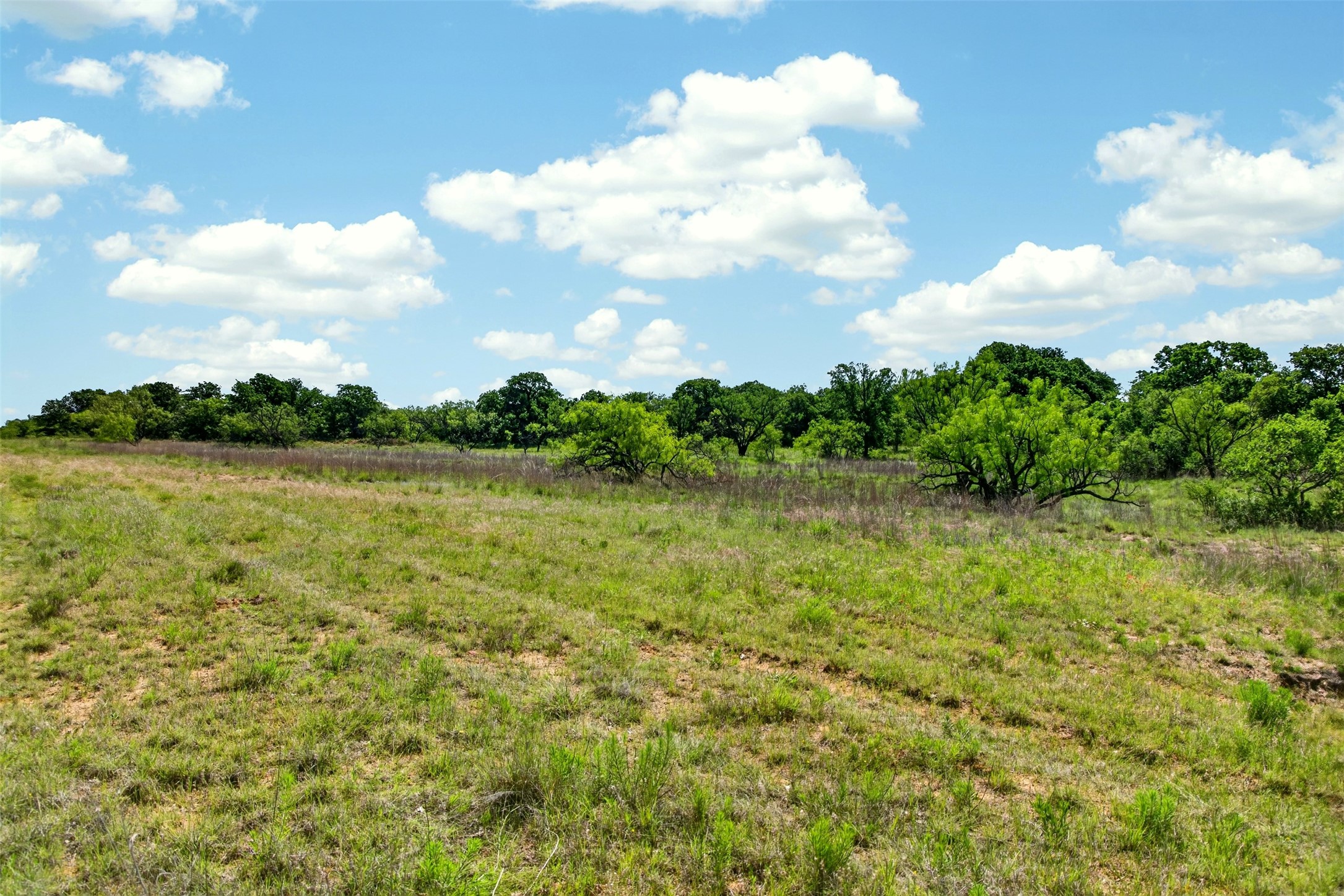 Tbd Cr 144 Cisco TX 76437