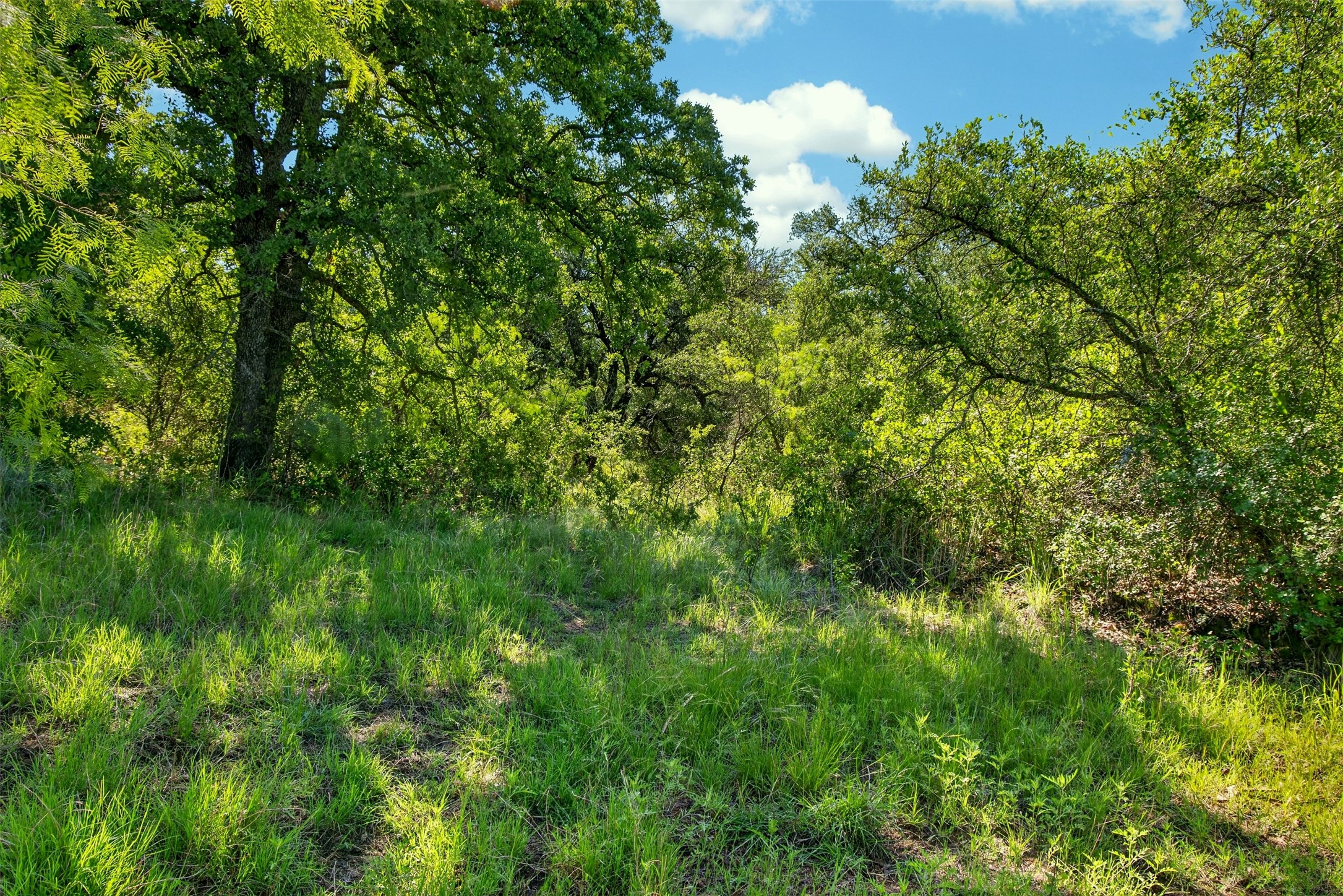 Tbd Cr 144 Cisco TX 76437