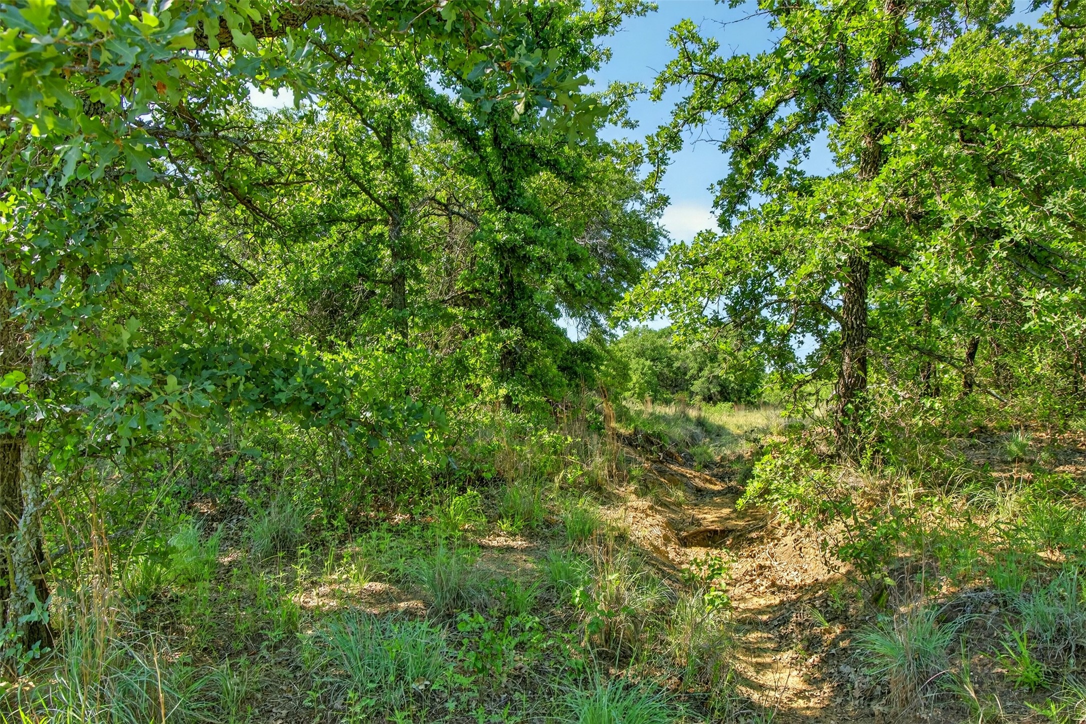 Tbd Cr 144 Cisco TX 76437