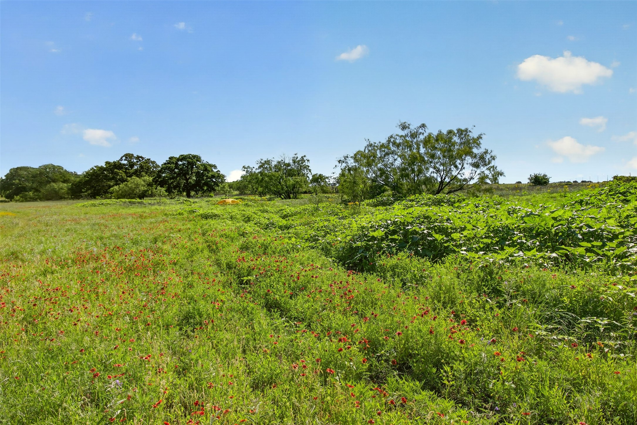 Tbd Cr 144 Cisco TX 76437