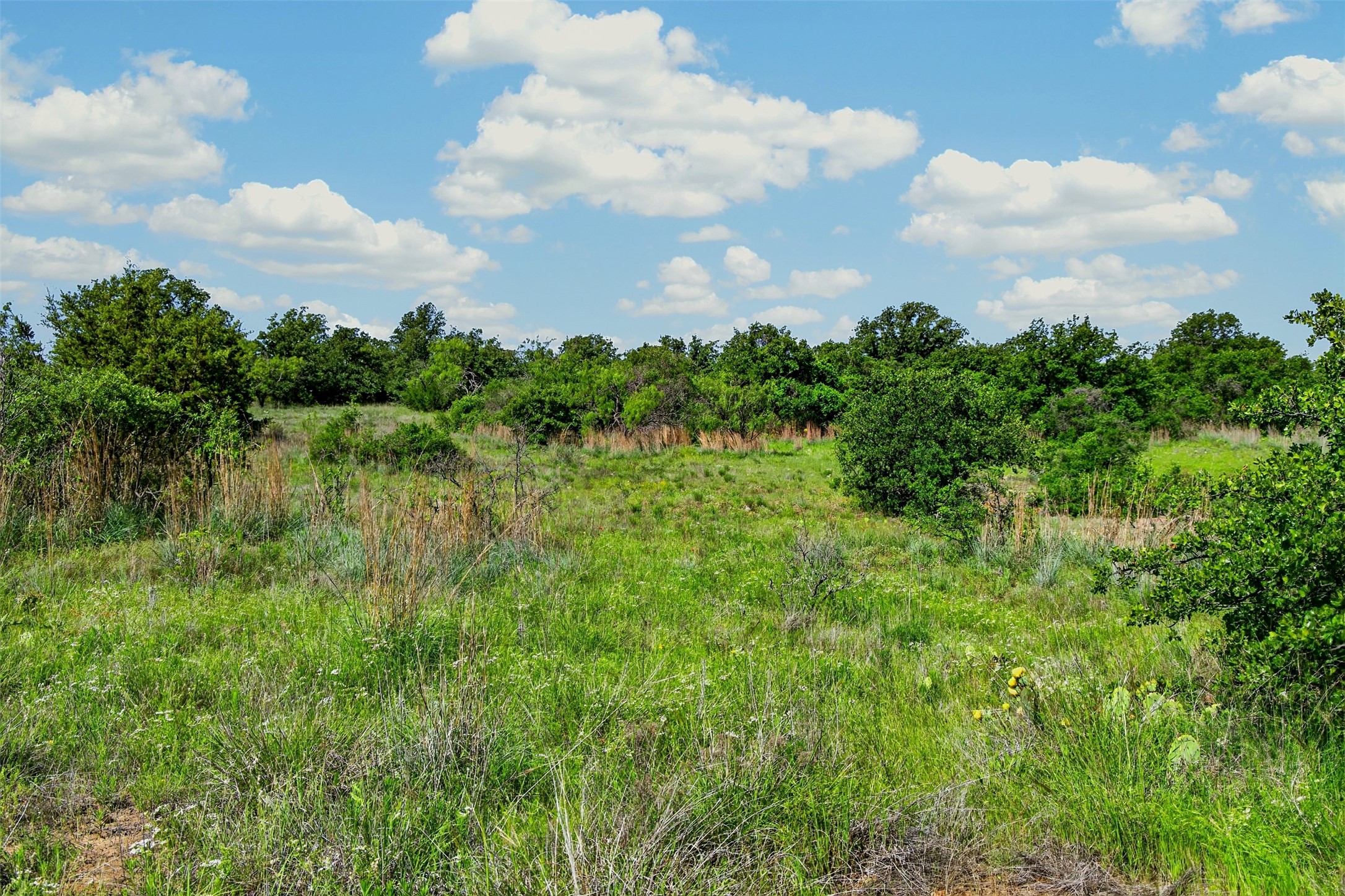 Tbd Cr 144 Cisco TX 76437