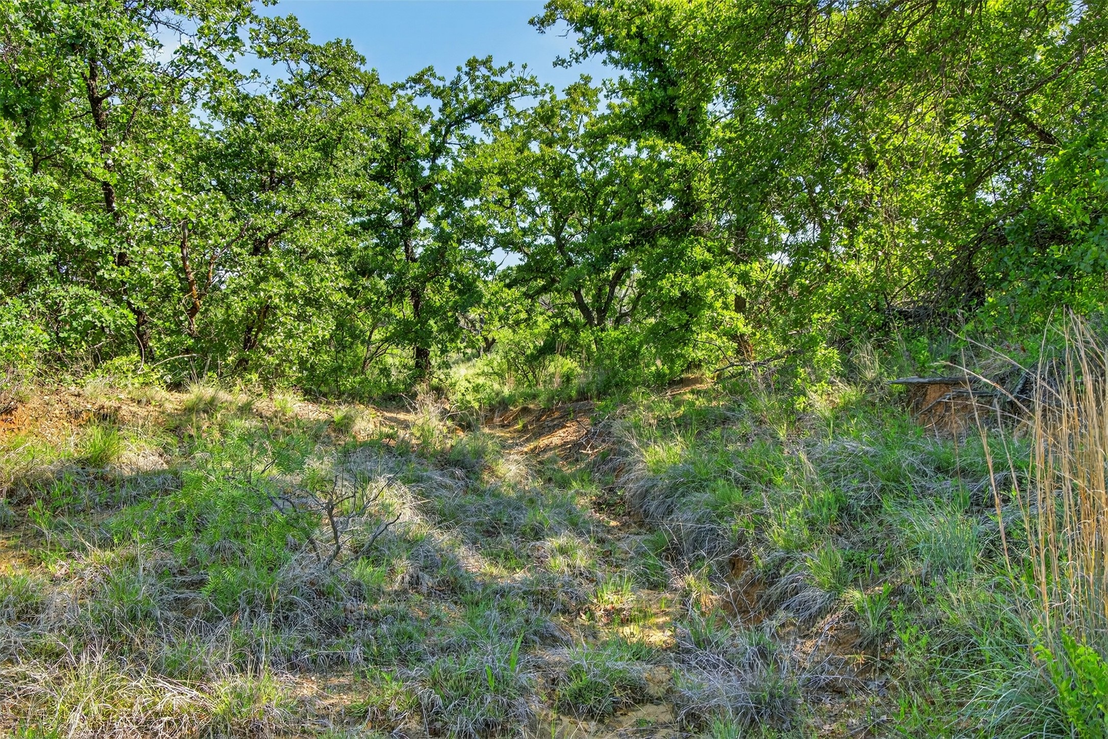 Tbd Cr 144 Cisco TX 76437