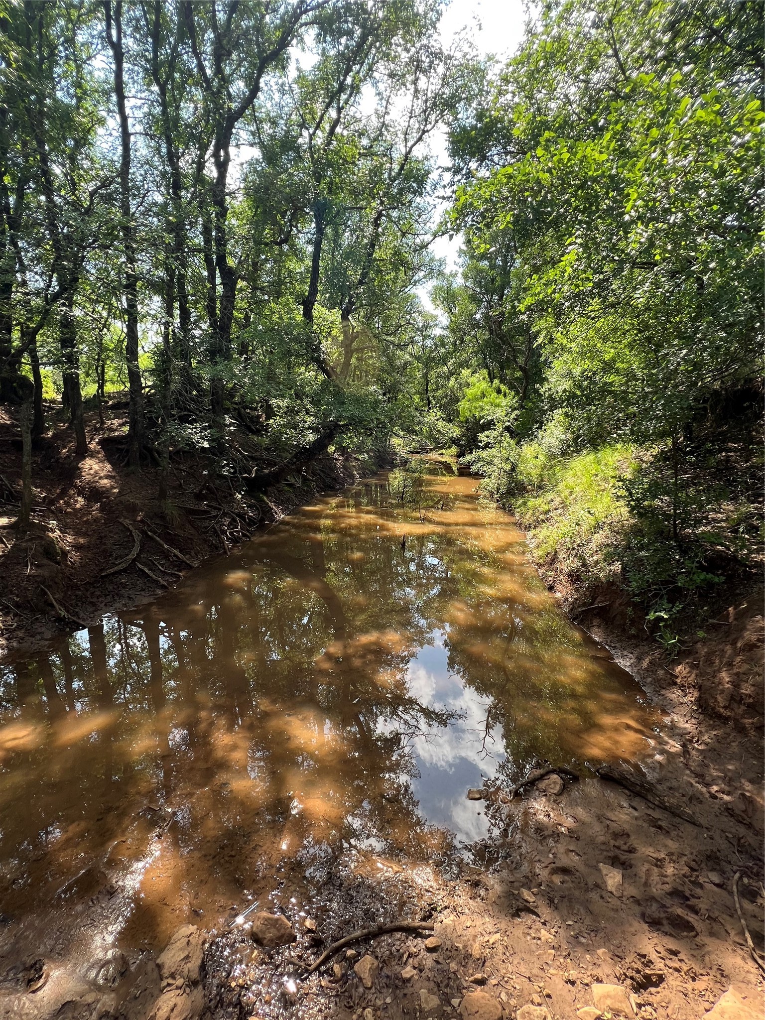 Tbd County Road 137 Road Cisco TX 76437