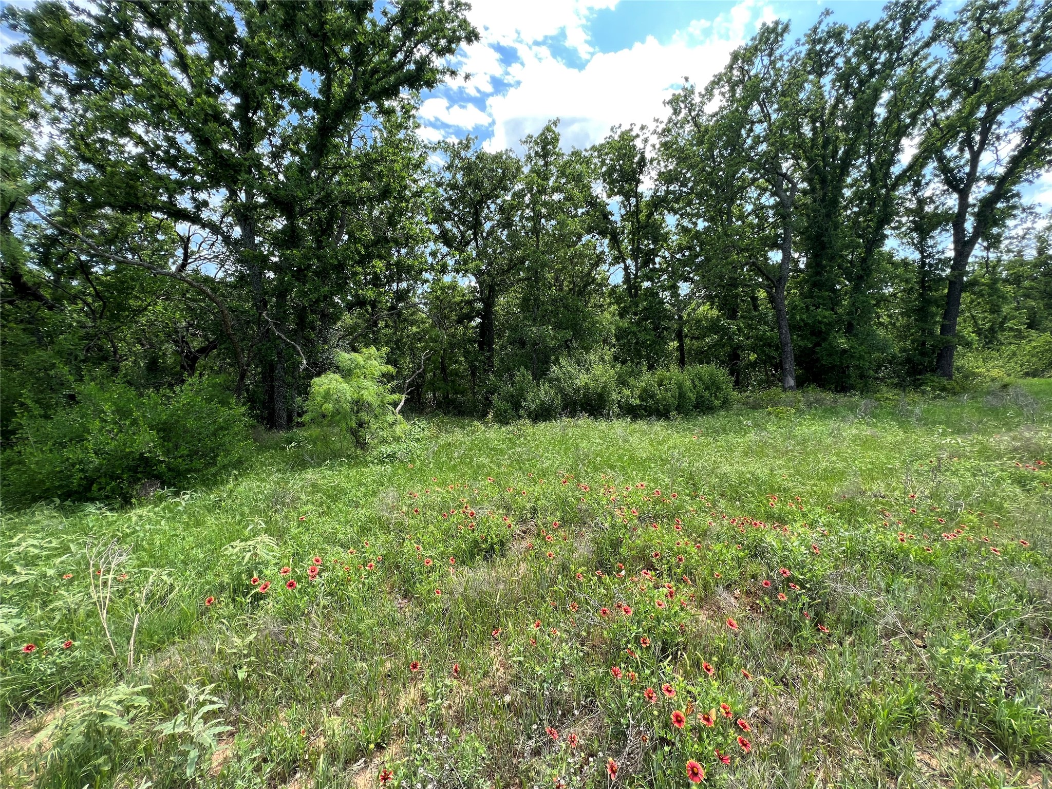 Tbd County Road 137 Road Cisco TX 76437