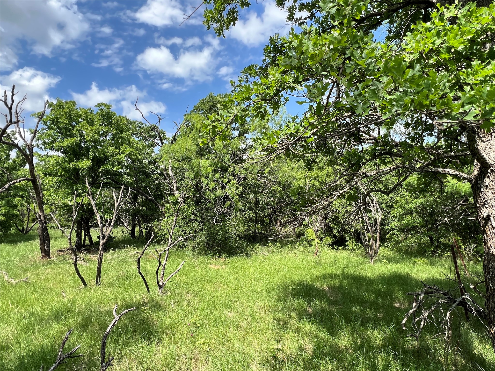 Tbd County Road 137 Road Cisco TX 76437