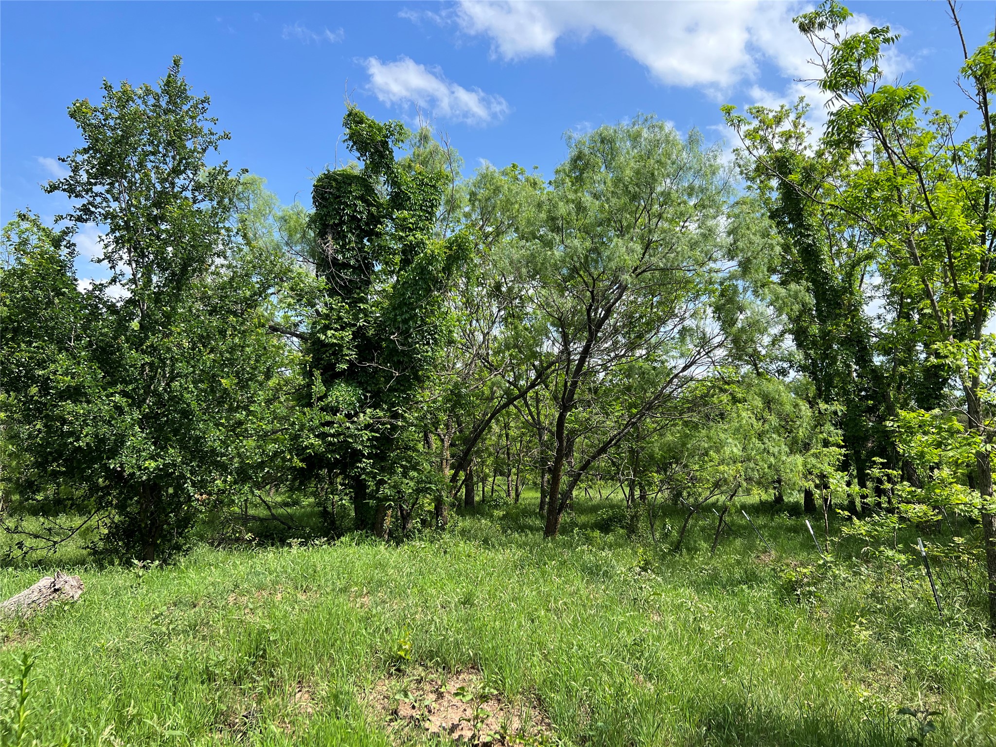 Tbd County Road 137 Road Cisco TX 76437