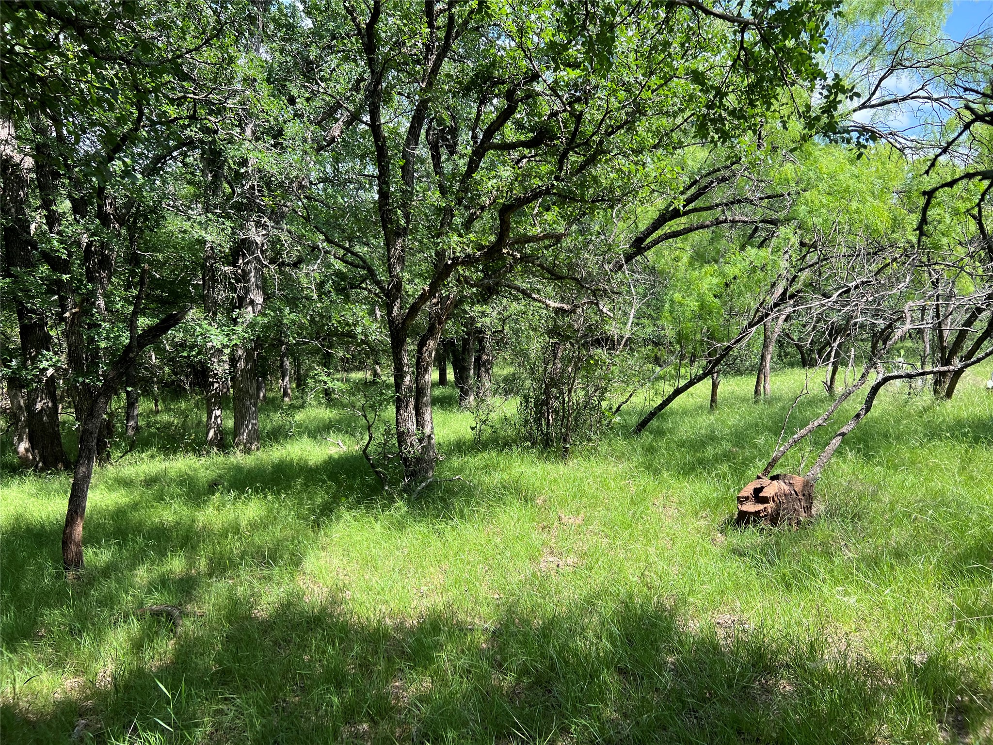 Tbd County Road 137 Road Cisco TX 76437