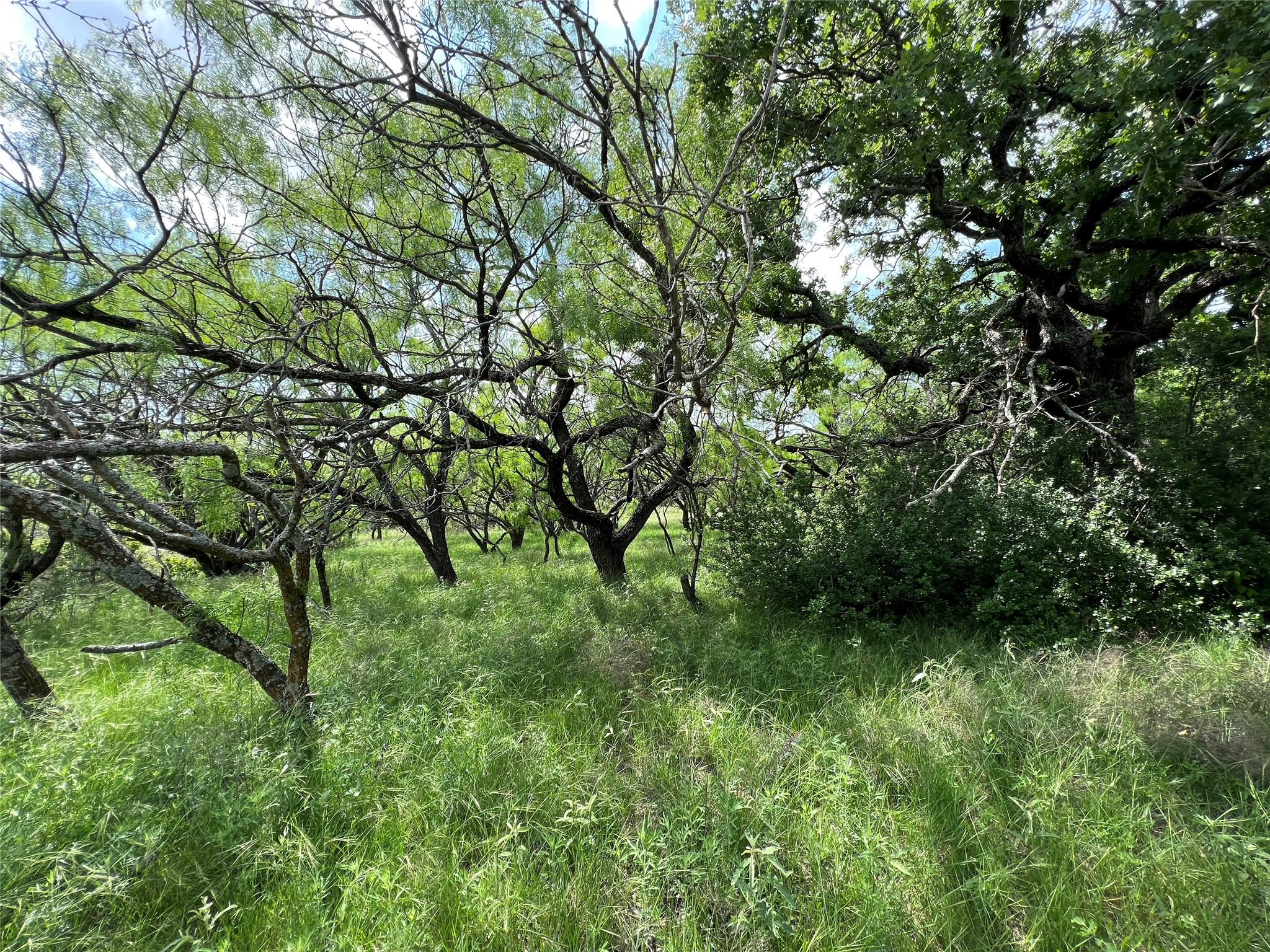 Tbd County Road 137 Road Cisco TX 76437