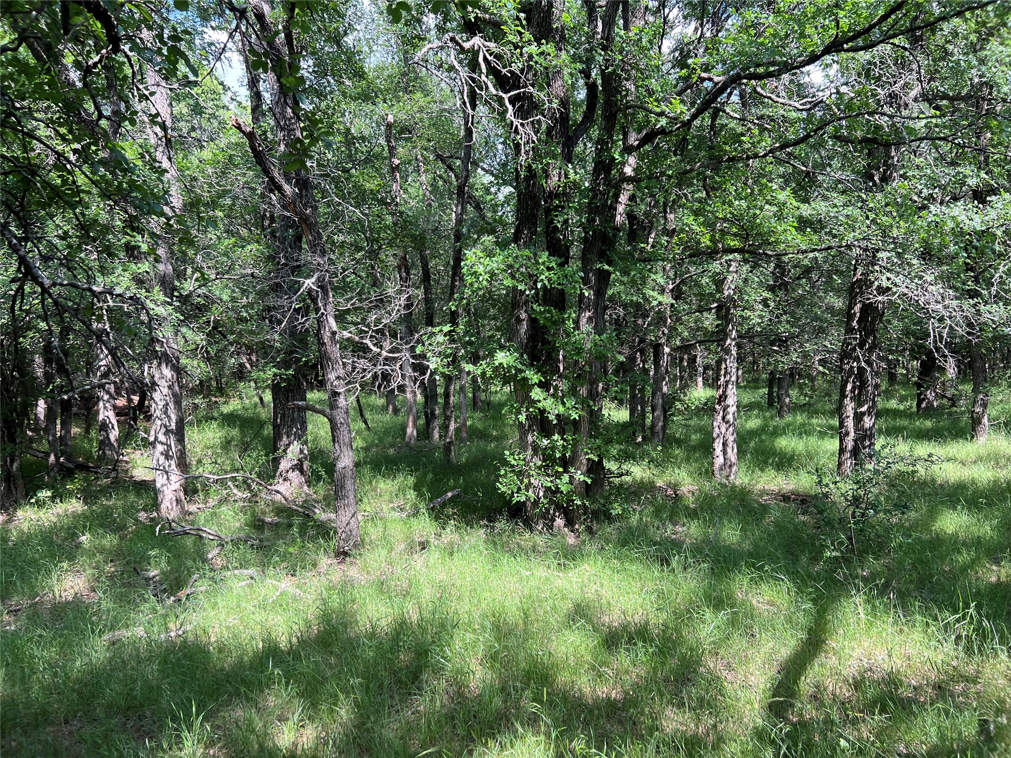 Tbd County Road 137 Road Cisco TX 76437