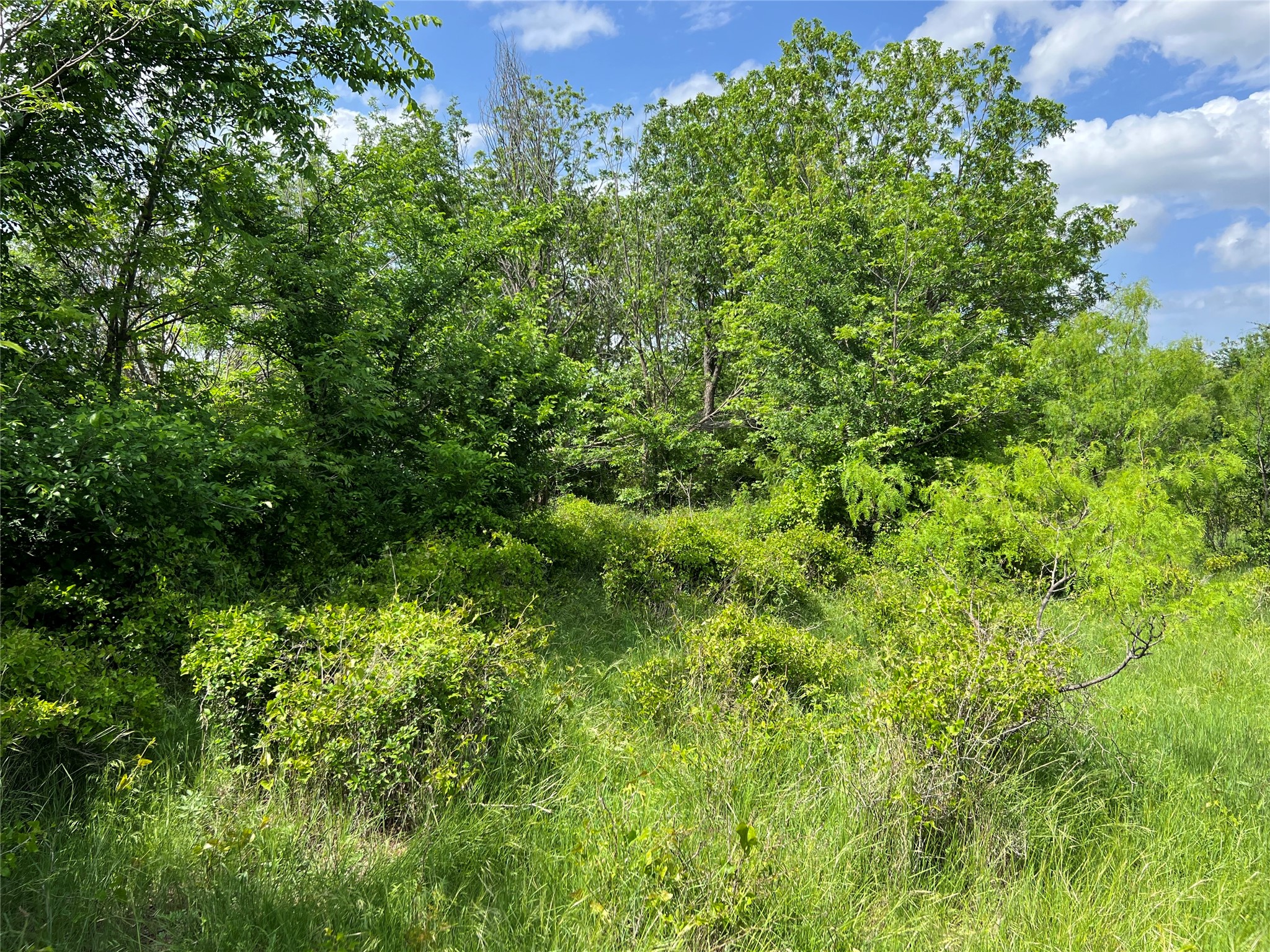 Tbd County Road 137 Road Cisco TX 76437