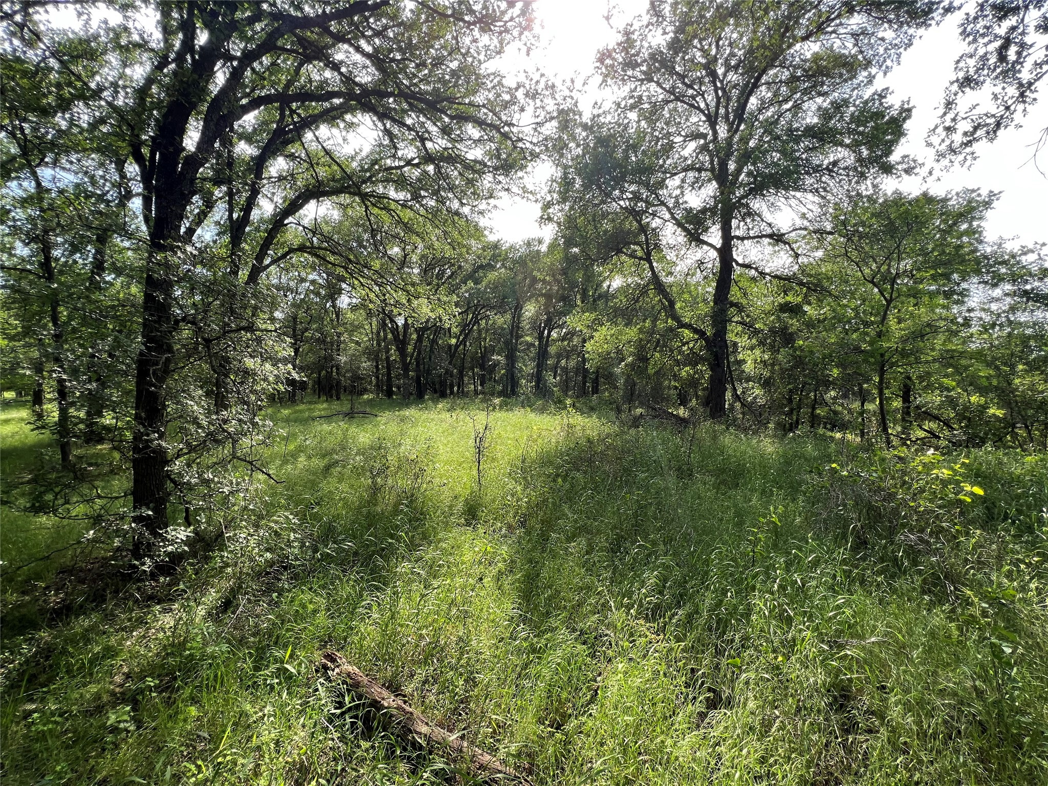 Tbd County Road 137 Road Cisco TX 76437