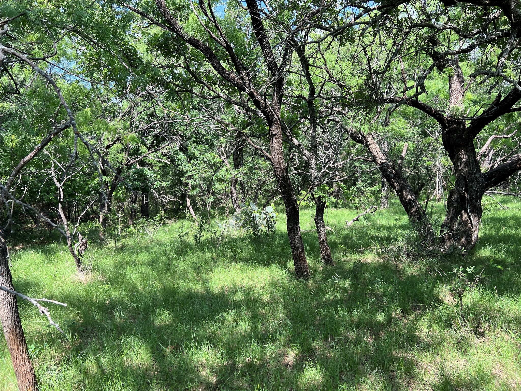 Tbd County Road 137 Road Cisco TX 76437