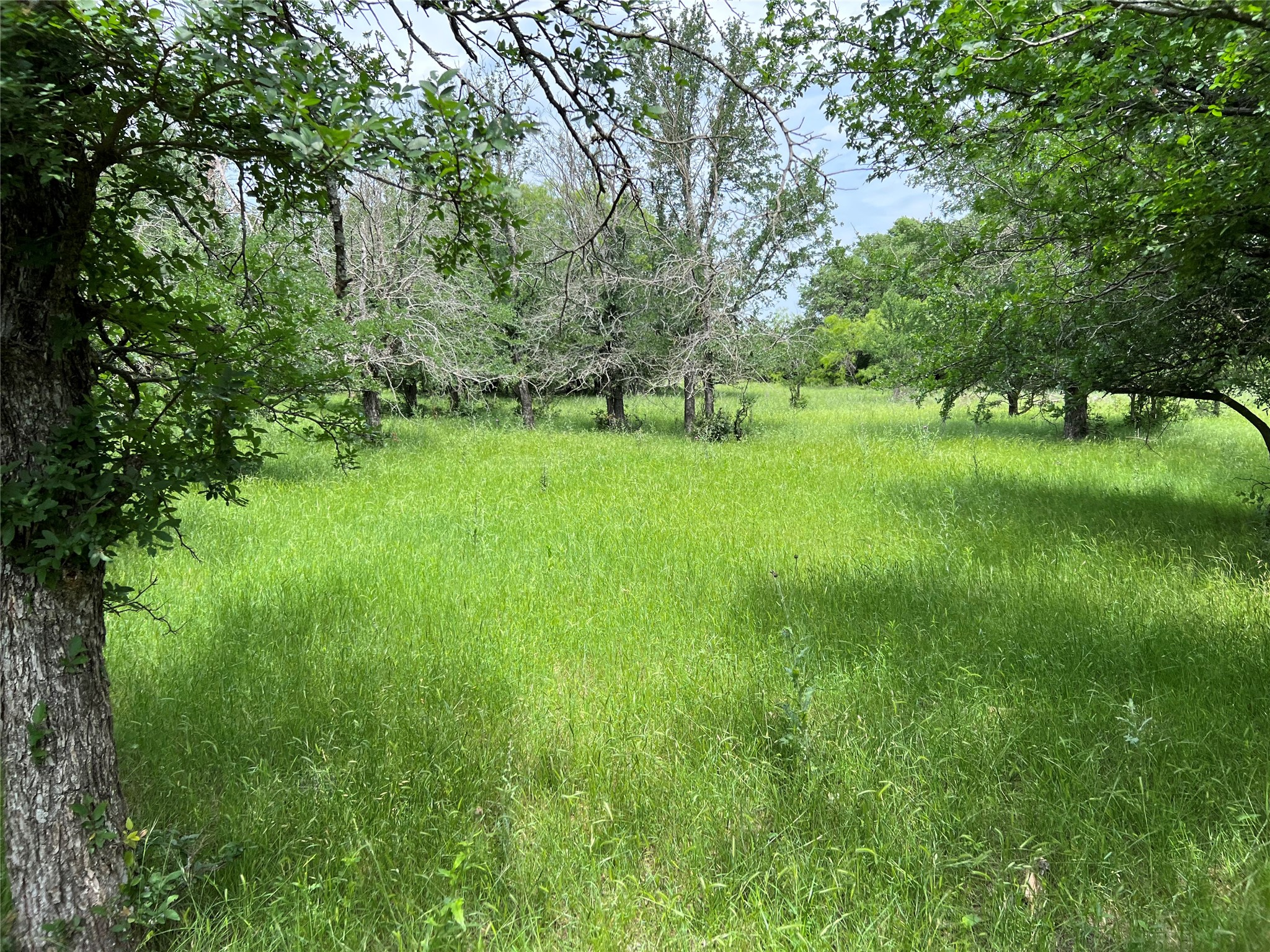 Tbd County Road 137 Road Cisco TX 76437