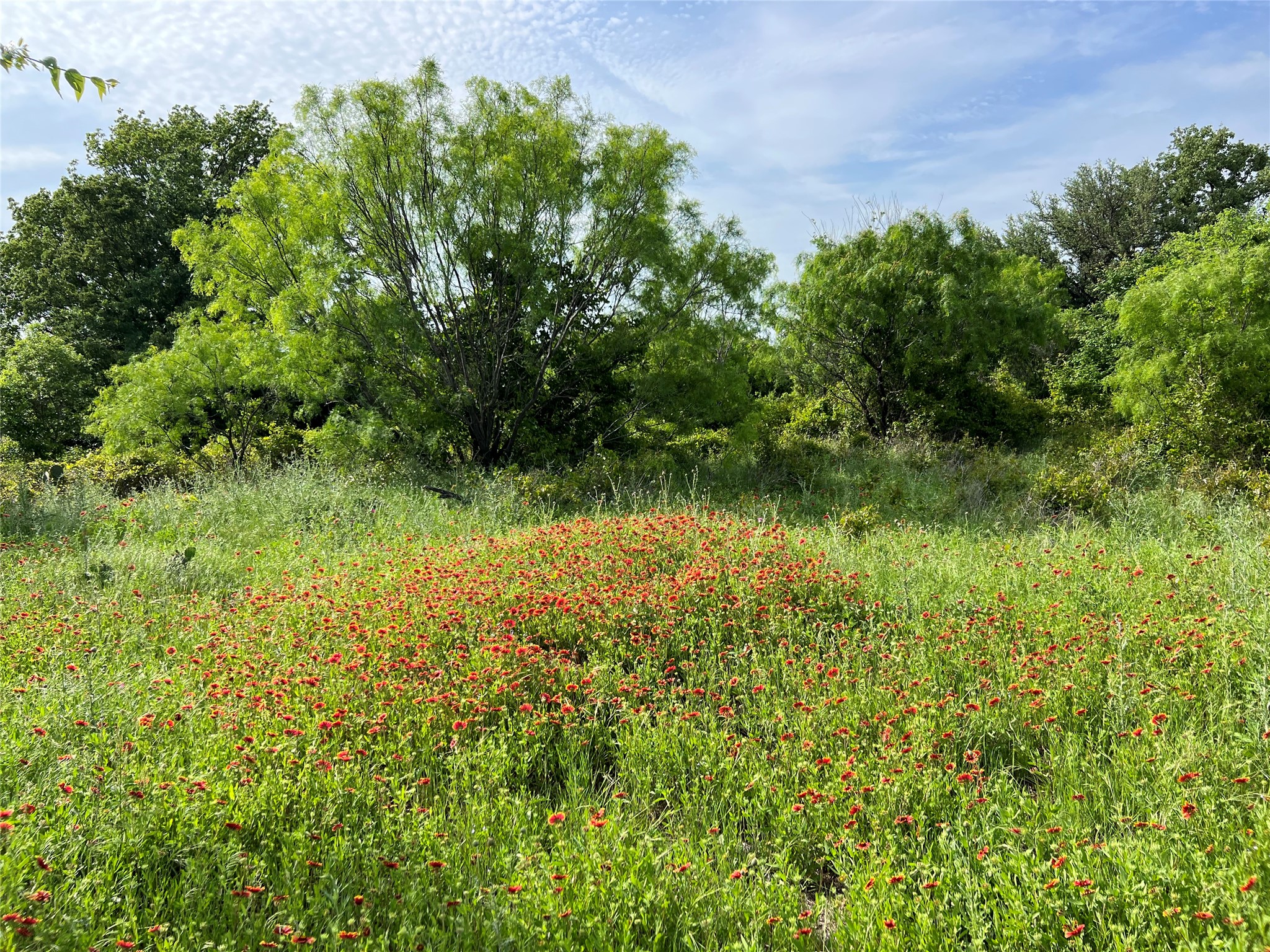 Tbd County Road 137 Road Cisco TX 76437