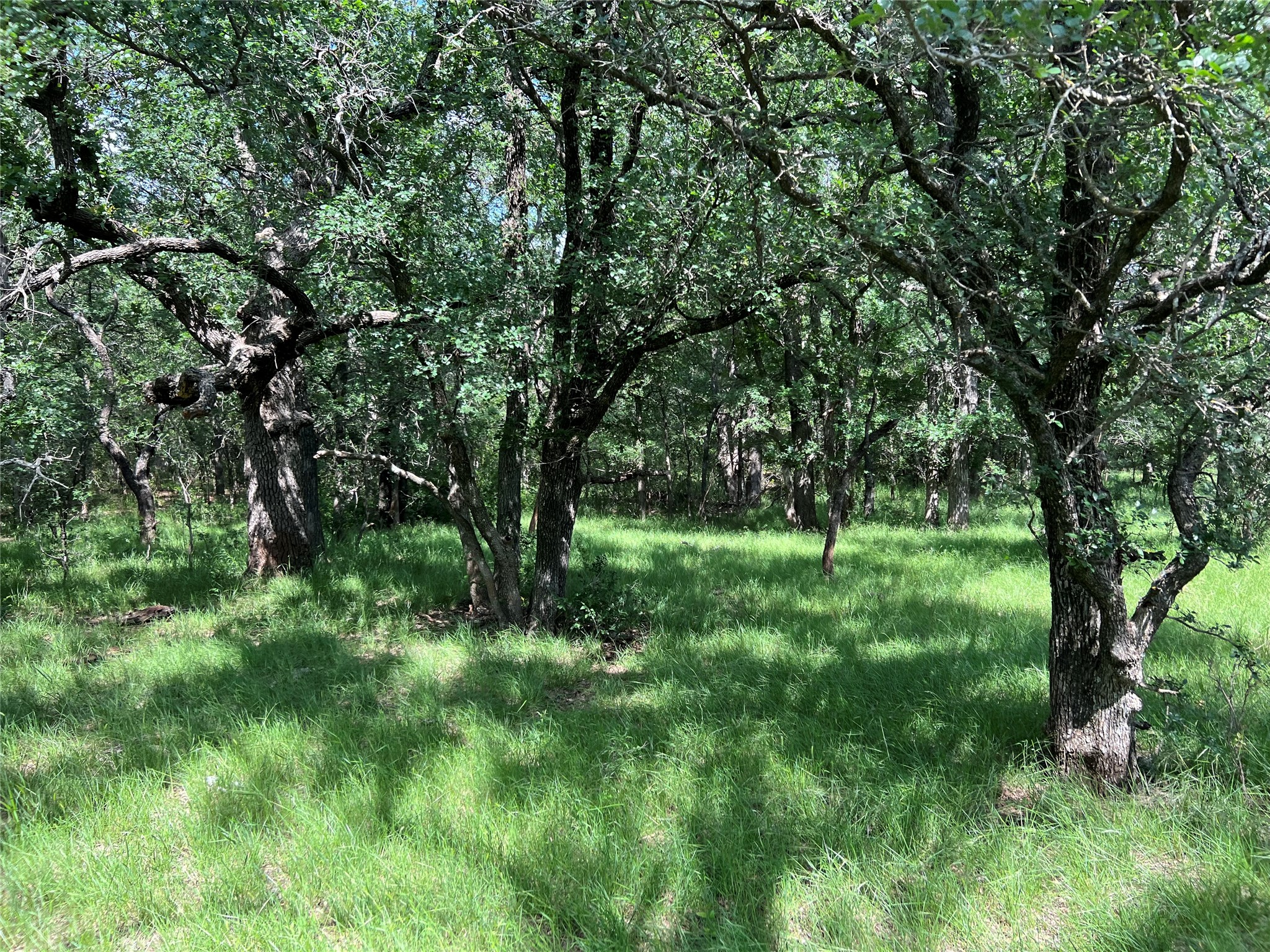 Tbd County Road 137 Road Cisco TX 76437