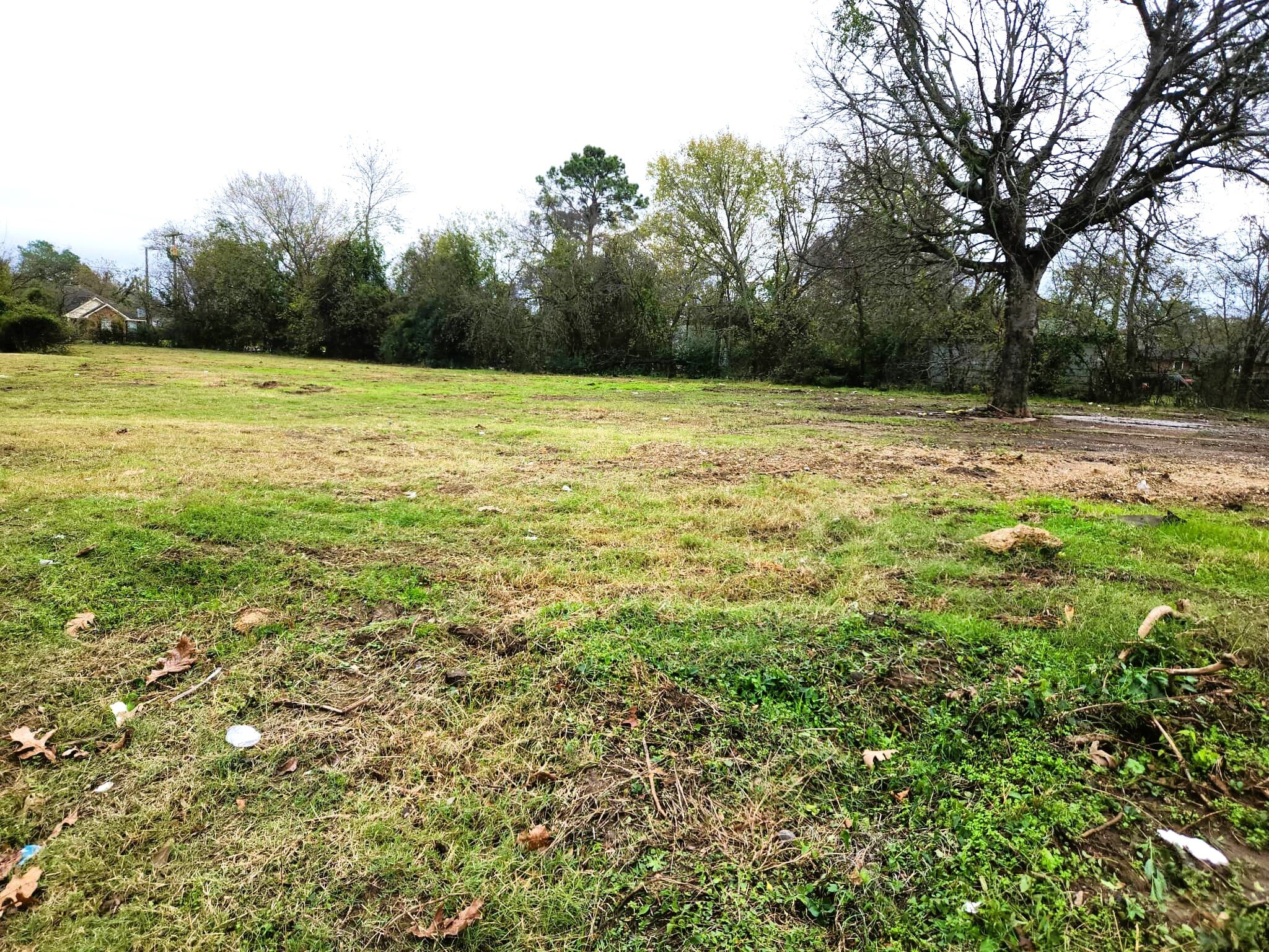 201 W Myers Street Terrell TX 75160