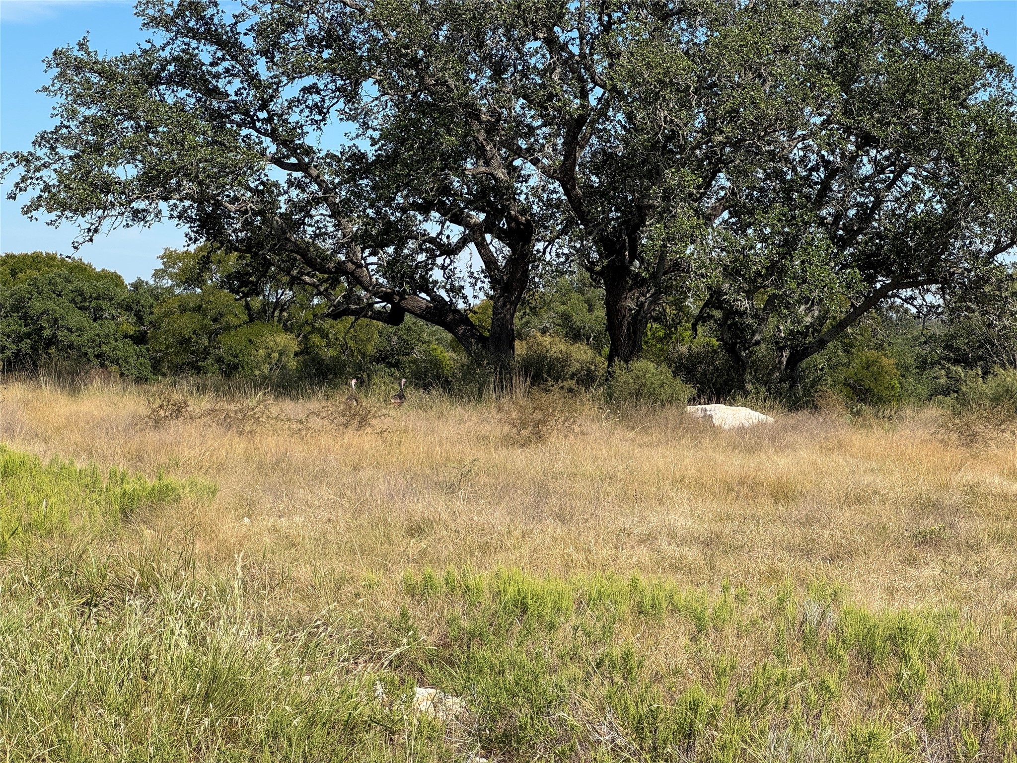 Lot 34 Buck Run San Saba TX 76877