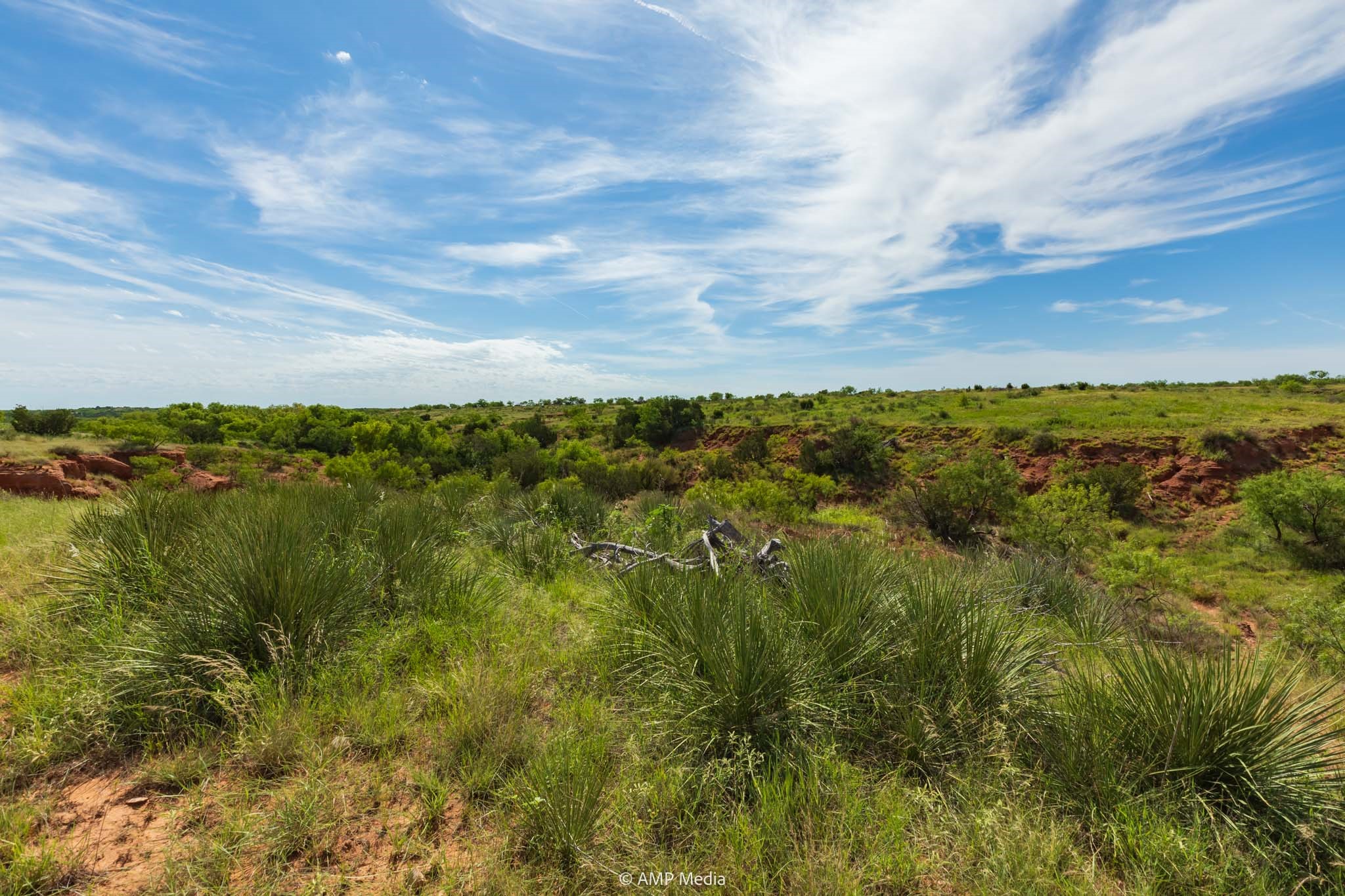 Tbd Cr 440 Rotan TX 79546