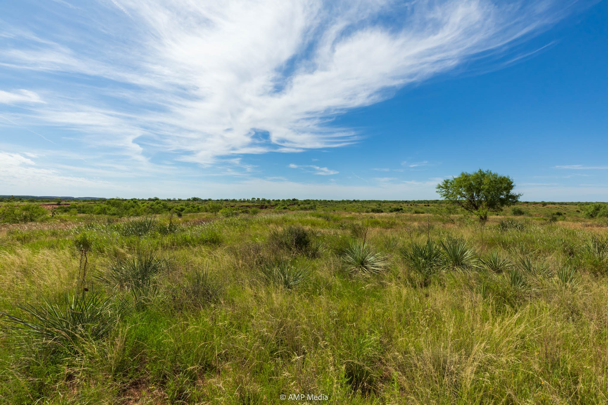 Tbd Cr 440 Rotan TX 79546