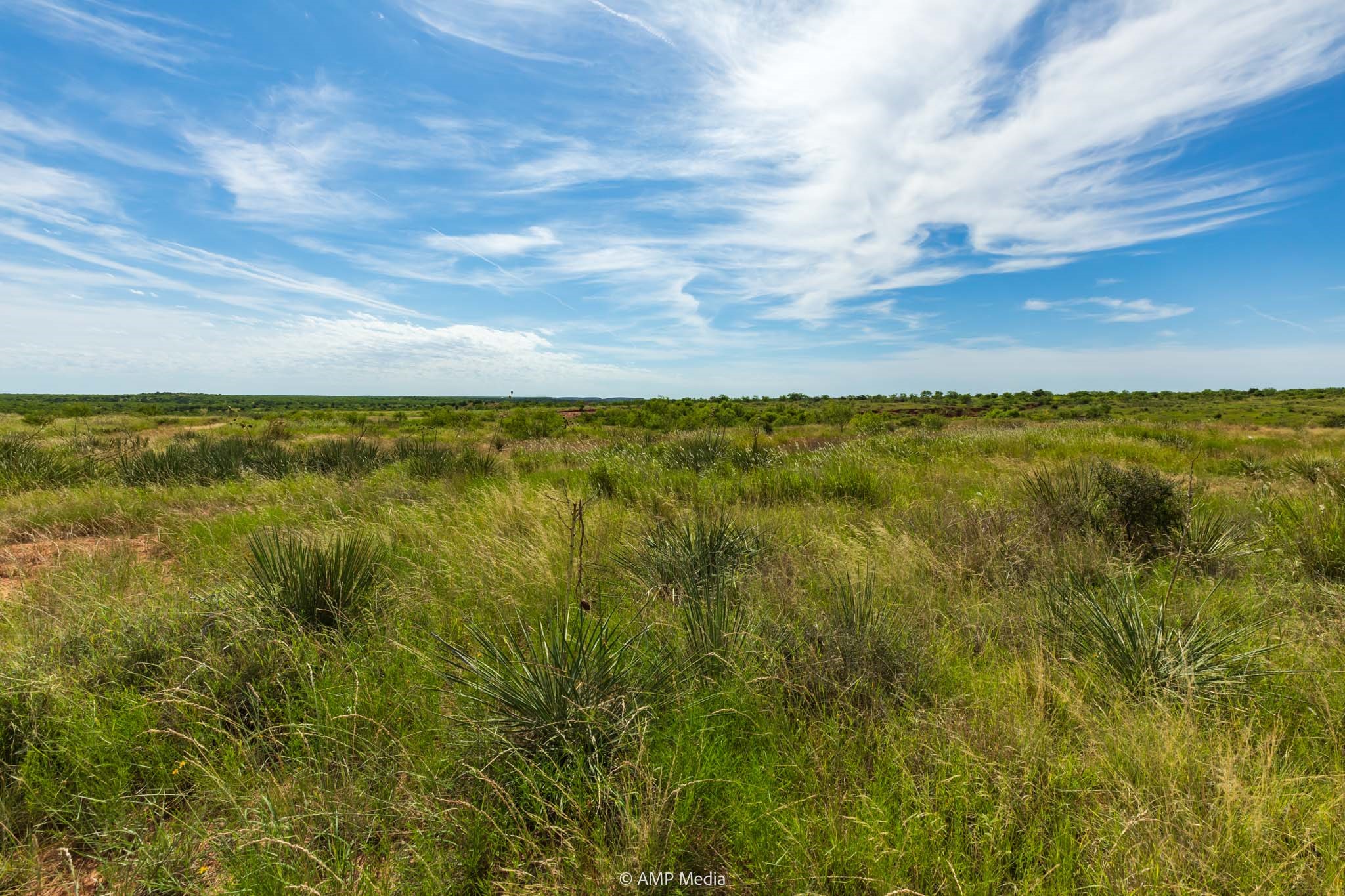 Tbd Cr 440 Rotan TX 79546