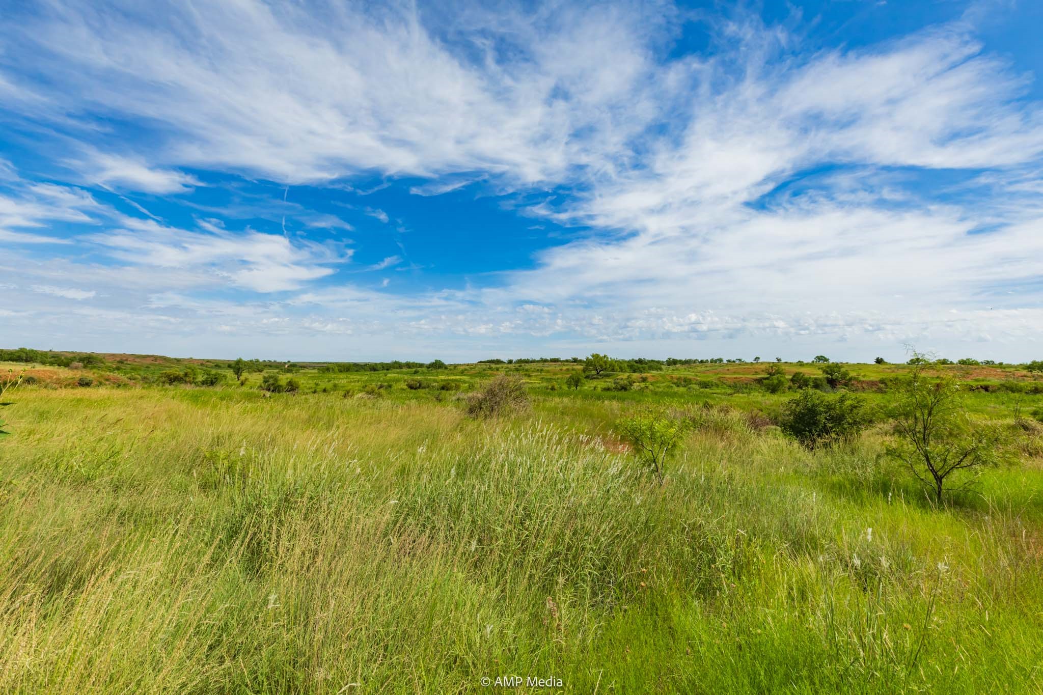 Tbd Cr 440 Rotan TX 79546