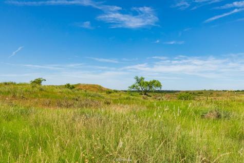 Tbd Cr 440 Rotan TX 79546