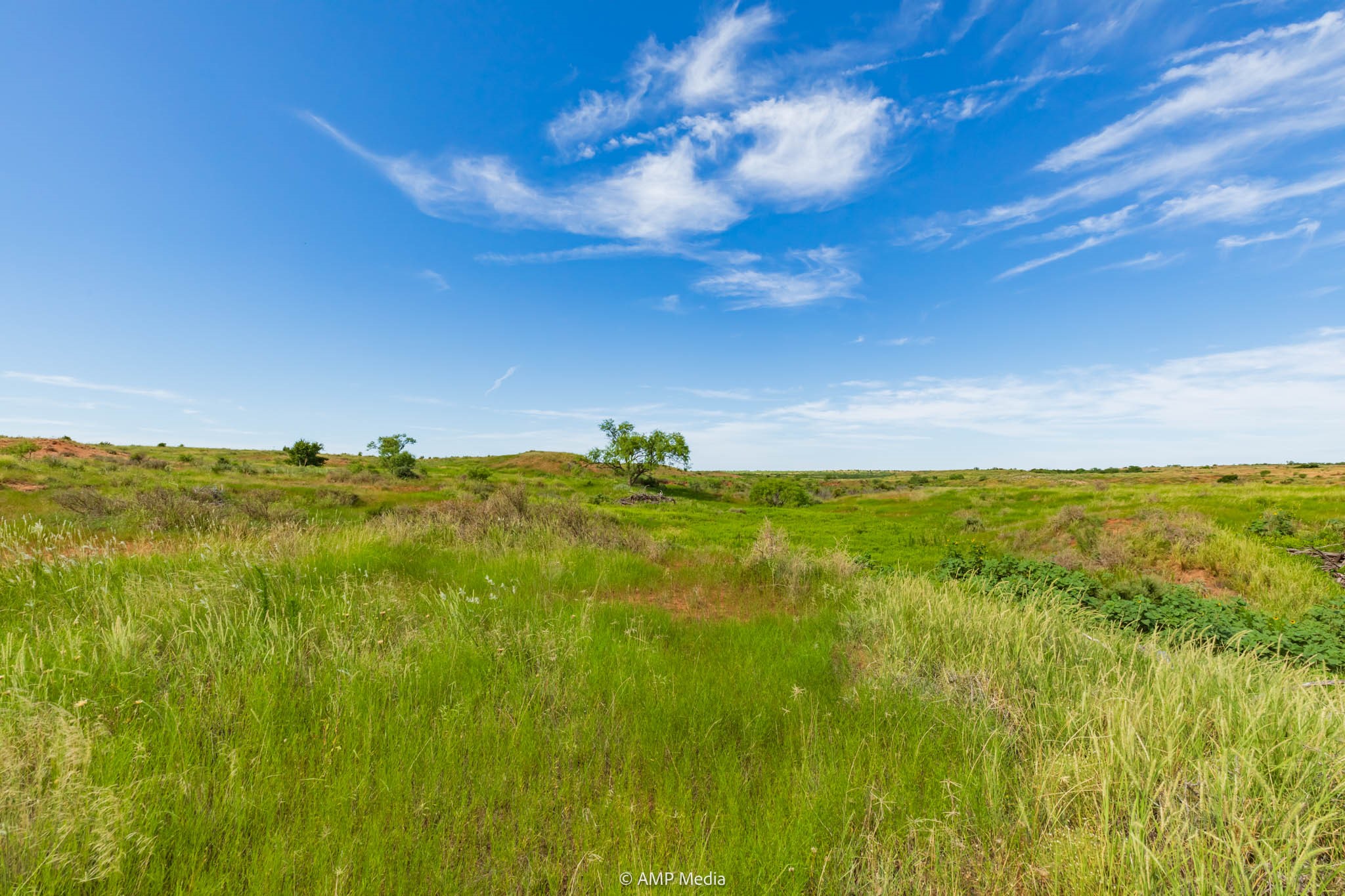 Tbd Cr 440 Rotan TX 79546