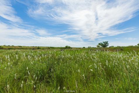 Tbd Cr 440 Rotan TX 79546