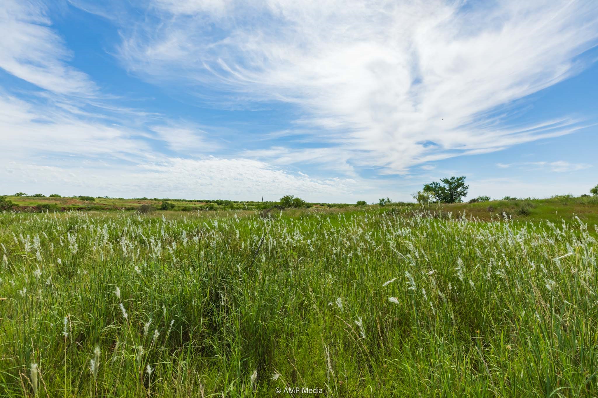 Tbd Cr 440 Rotan TX 79546