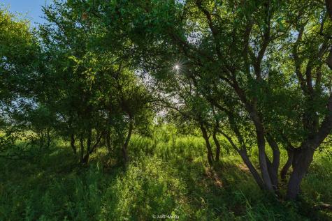 Tbd Cr 440 Rotan TX 79546