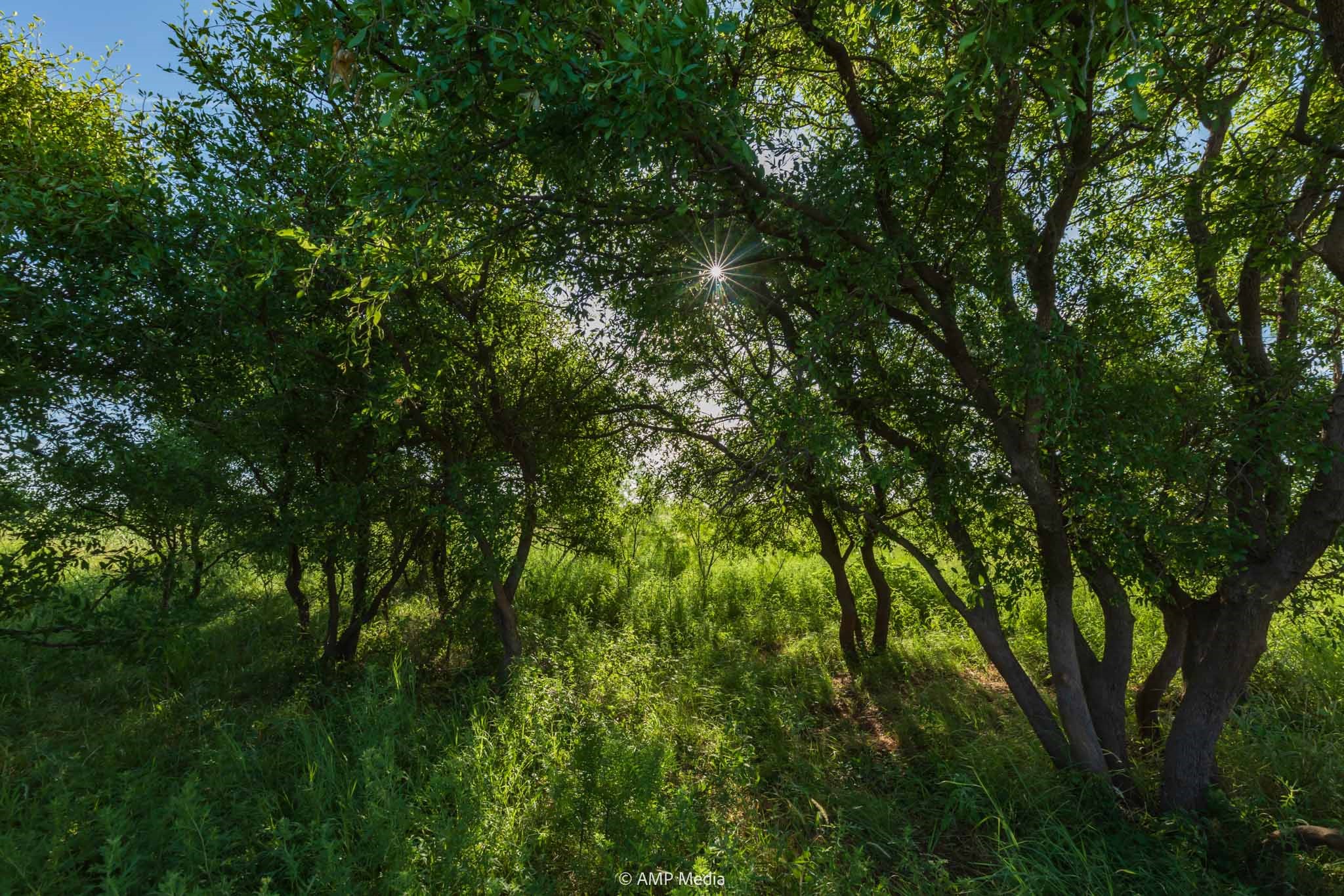 Tbd Cr 440 Rotan TX 79546