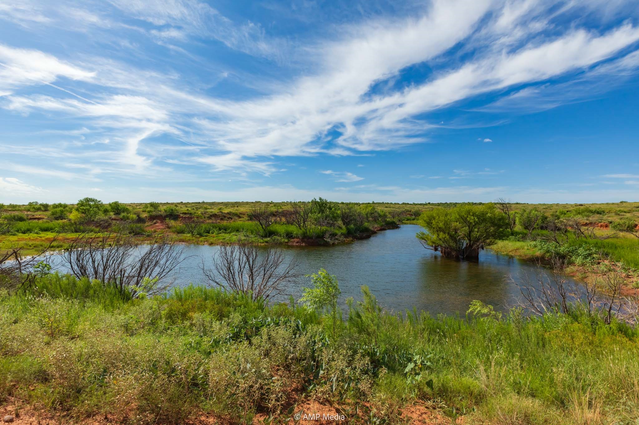 Tbd Cr 440 Rotan TX 79546