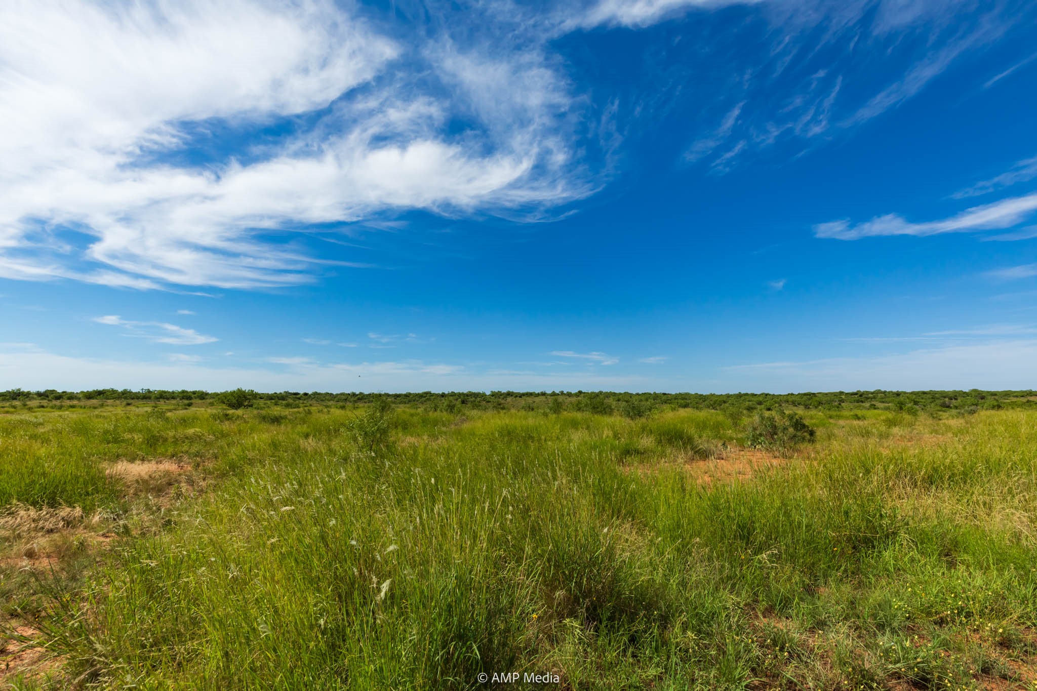 Tbd Cr 440 Rotan TX 79546