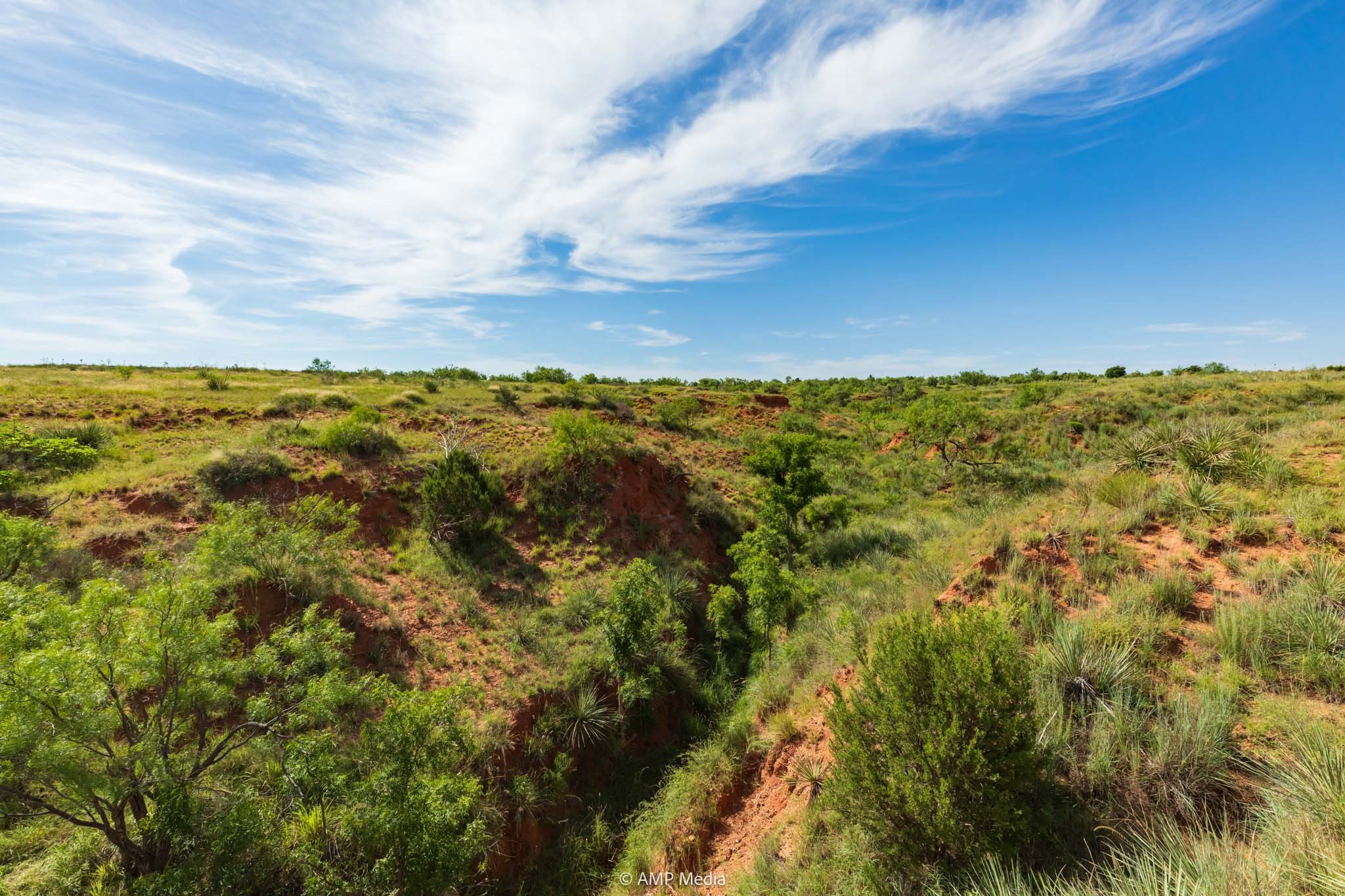 Tbd Cr 440 Rotan TX 79546
