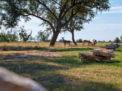 Lot 133 Balleycastle Drive Graford TX 76449