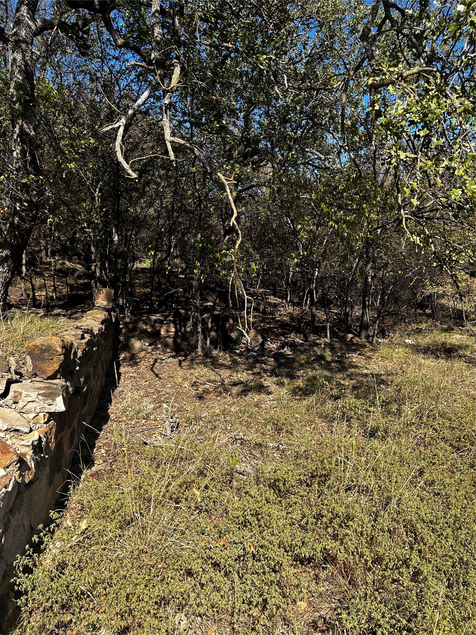 Tbd NW 9th Street Mineral Wells TX 76067