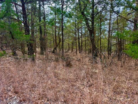 Tbd County Road 106 Whitesboro TX 76273