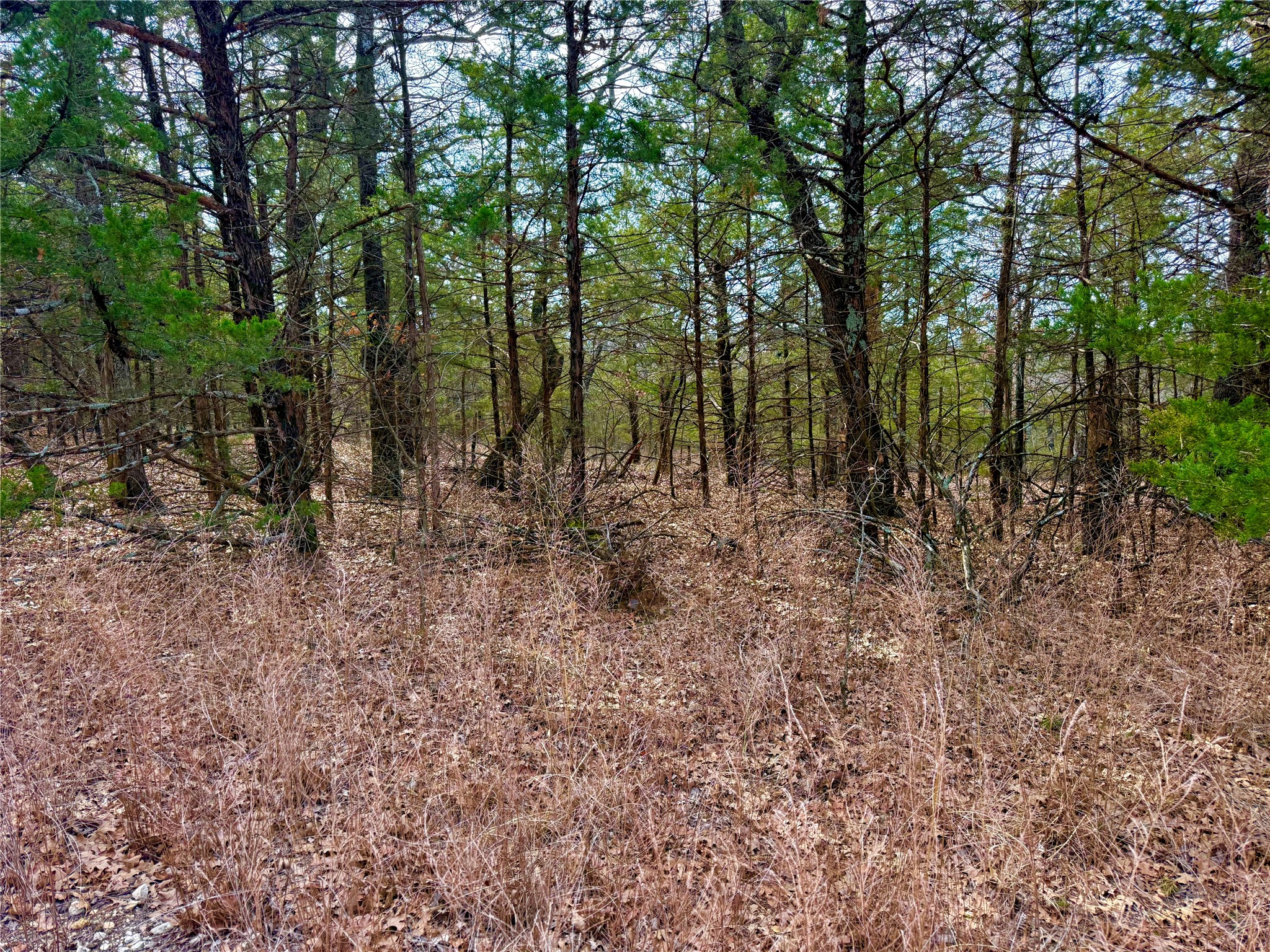 Tbd County Road 106 Whitesboro TX 76273