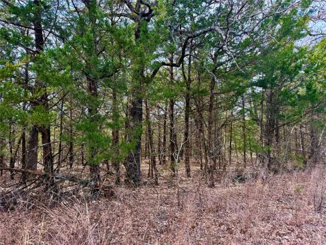 Tbd County Road 106 Whitesboro TX 76273