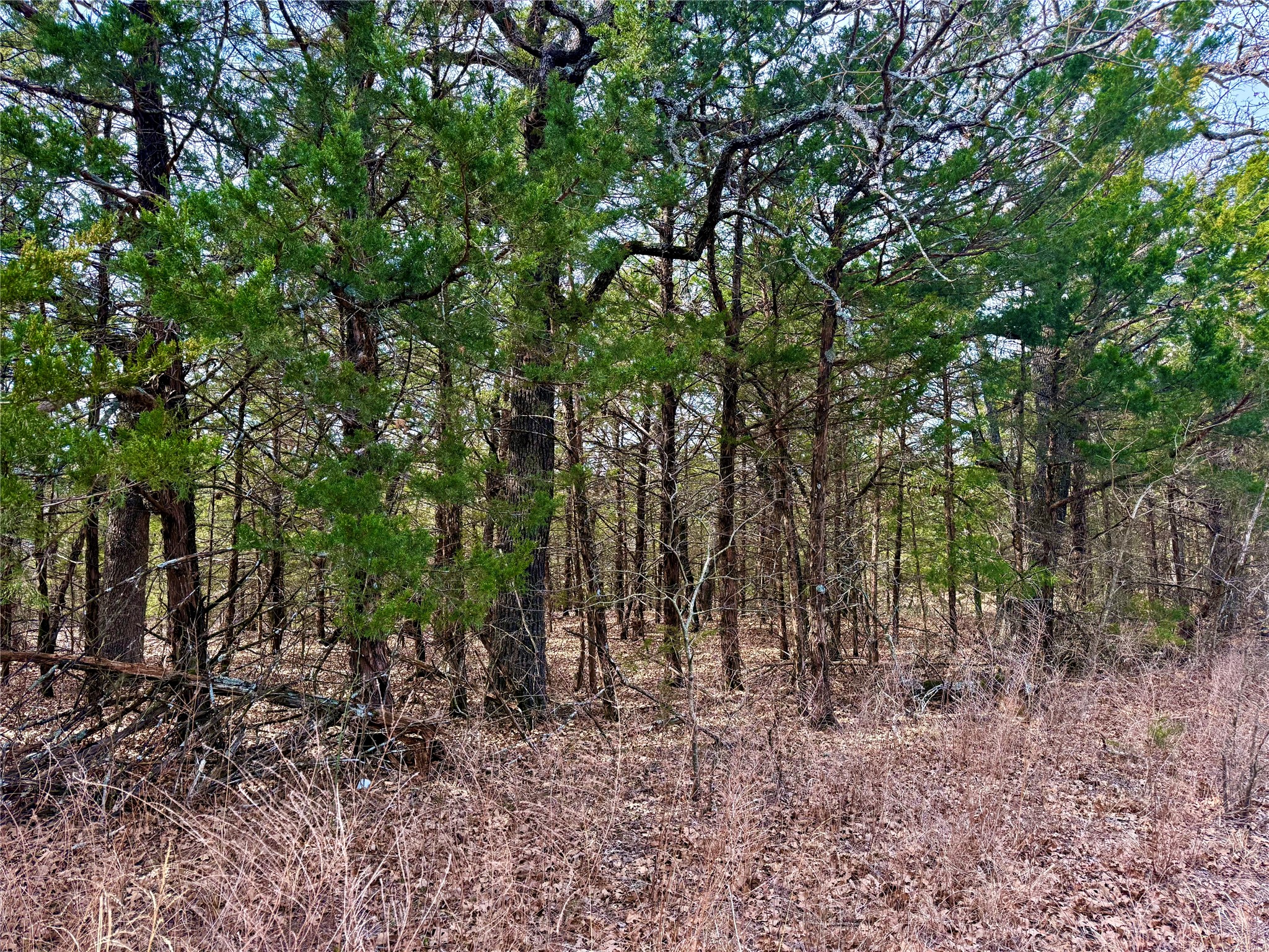 Tbd County Road 106 Whitesboro TX 76273