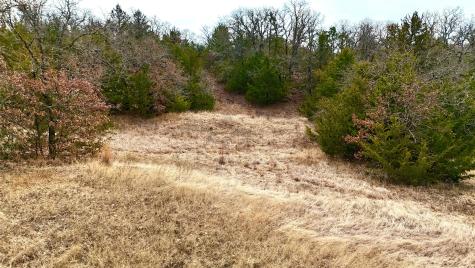 Tbd County Road 106 Whitesboro TX 76273
