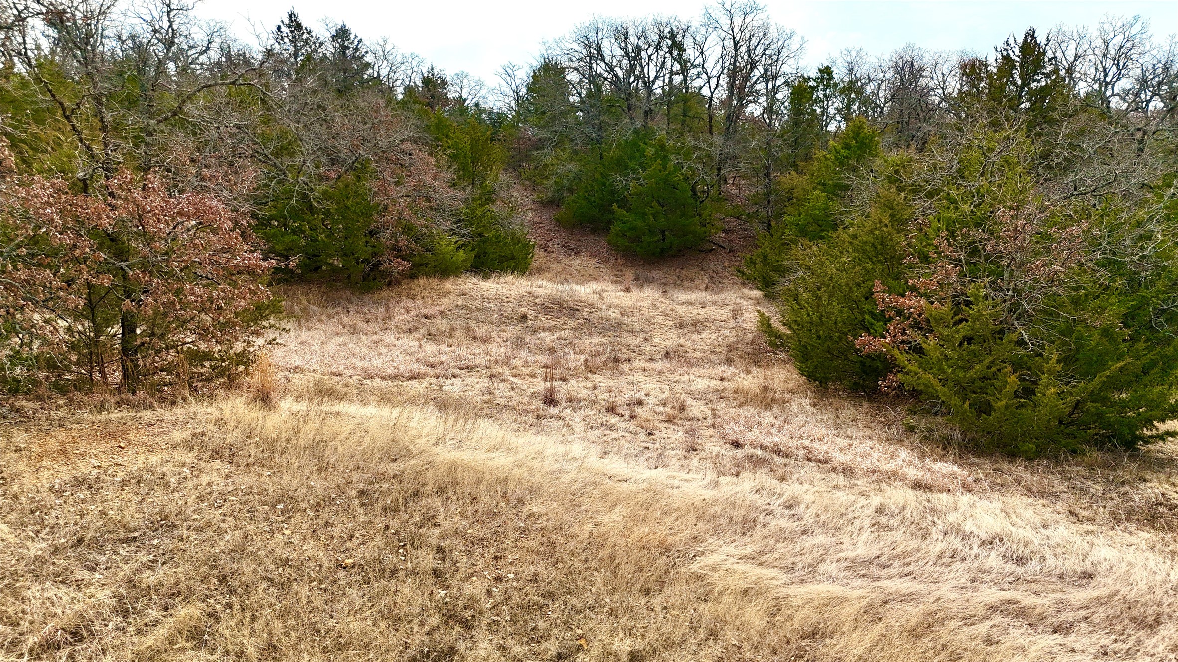 Tbd County Road 106 Whitesboro TX 76273