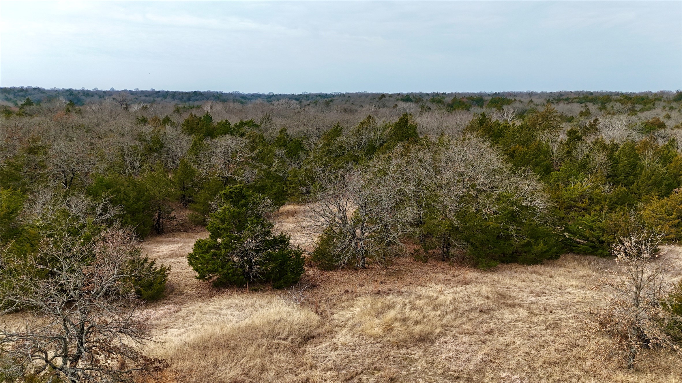 Tbd County Road 106 Whitesboro TX 76273